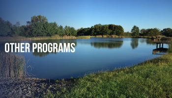 Other Programs
