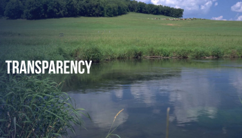 Transparency