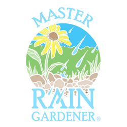 Master Rain Gardener - rain, grass and flower