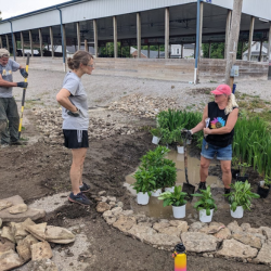 Rain Garden Overhaul
