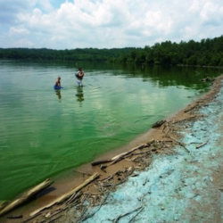 Swimming in a lake