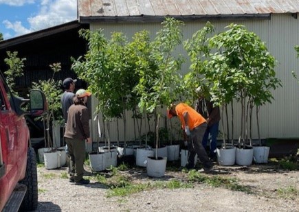 Soil & Water Partnership for tree giveaway